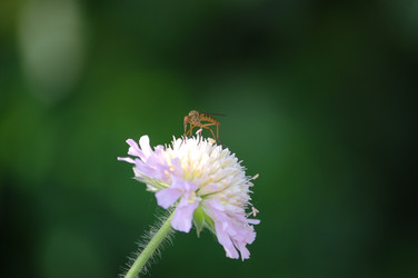 Similar image 216711