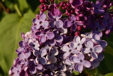 Similar image 216714