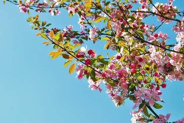 Similar image 216715