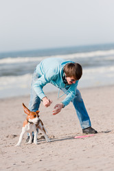 Similar image 216716