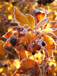 Similar image 216731