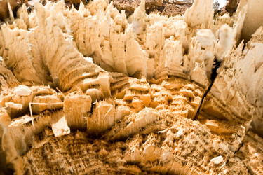 Similar image 216750