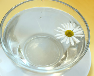 Similar image 216757