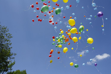 Similar image 216759