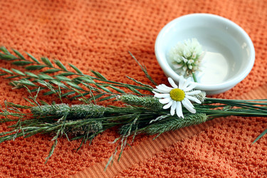 Similar image 216762