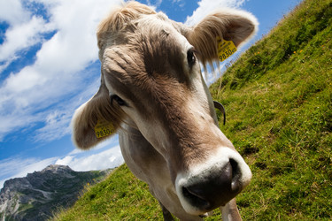 Similar image 216765