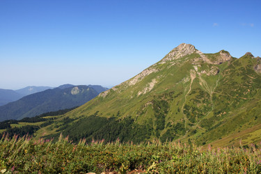 Similar image 216767