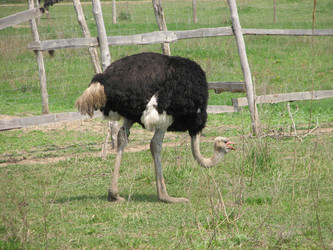 Similar image 216776