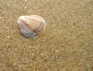 Similar image 216805