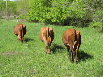 Similar image 216845