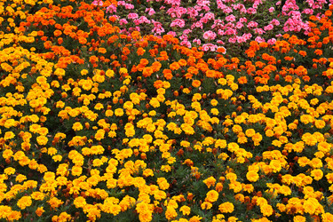 Similar image 216865