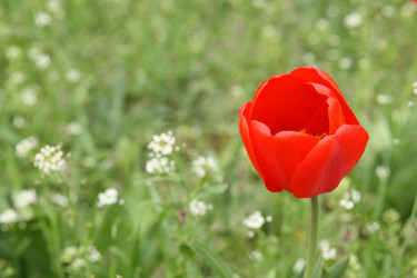 Similar image 216866