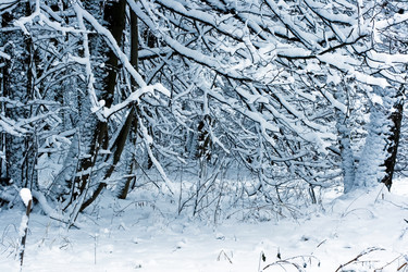 Similar image 216882