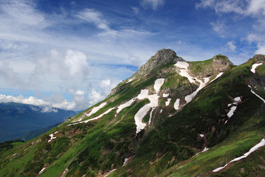 Similar image 216912