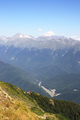 Similar image 216913