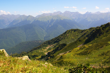 Similar image 216914