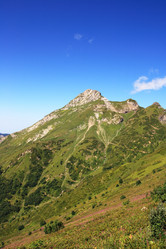 Similar image 216917