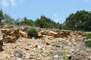 Similar image 216924