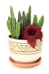 Similar image 216942