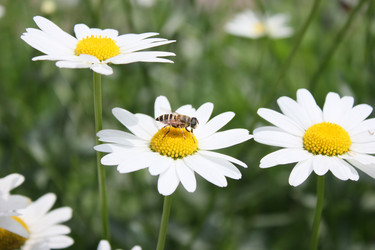 Similar image 216943