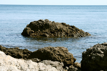 Similar image 216946