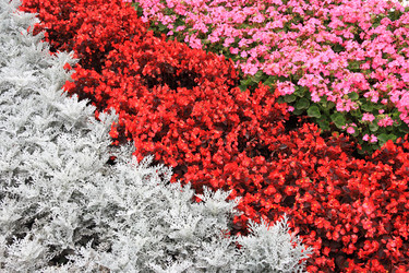 Similar image 216956