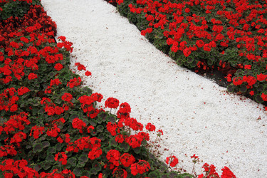 Similar image 216958