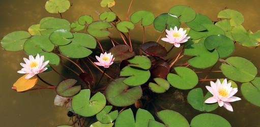 Similar image 216960