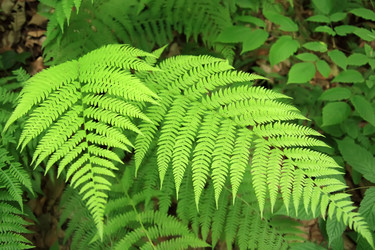 Similar image 216967