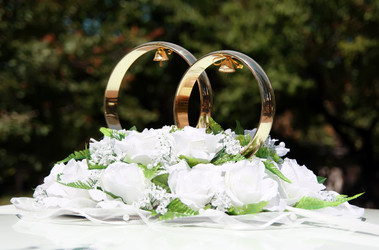 Similar image 216972