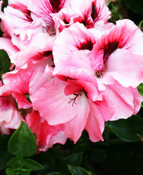 Similar image 216977