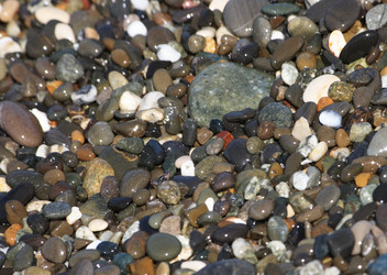 Similar image 216979