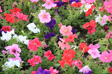 Similar image 216983