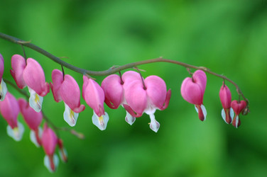 Similar image 216995