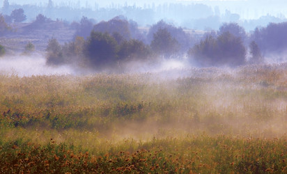 Similar image 217002