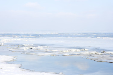 Similar image 217003