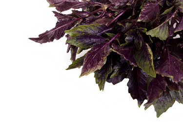 Similar image 217006