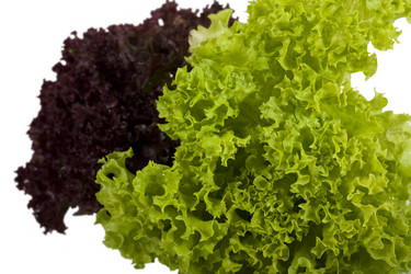 Similar image 217010