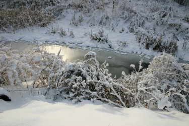 Similar image 217015