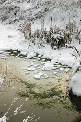 Similar image 217016