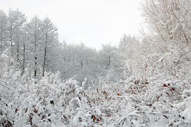 Similar image 217020