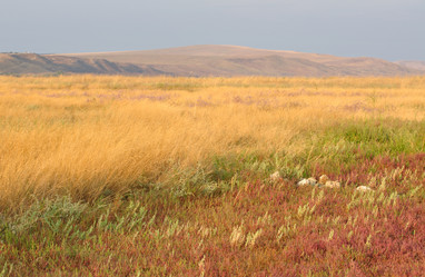 Similar image 217042