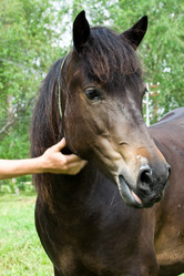 Similar image 217054