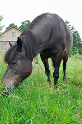 Similar image 217055