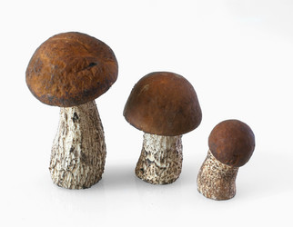 Similar image 217078