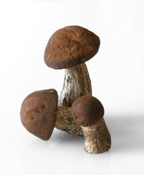 Similar image 217079