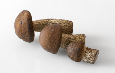 Similar image 217080