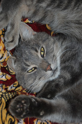 Similar image 217088