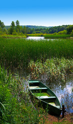 Similar image 217104