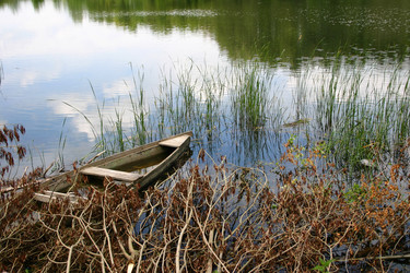 Similar image 217105